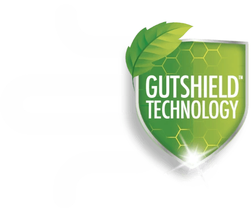 Gut Shield Icon